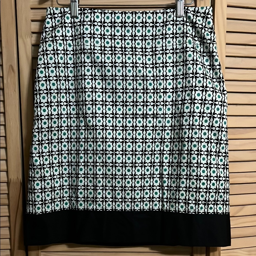 Ann Taylor Skirt